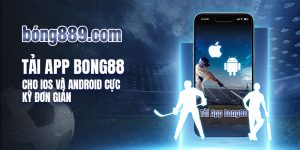 tai-app-bong88